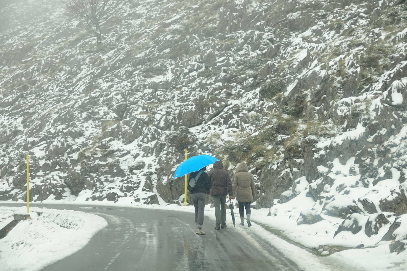 Muchas personas se decidieron a subir a los Lagos de Covadonga llamados por la nieve caída en la noche