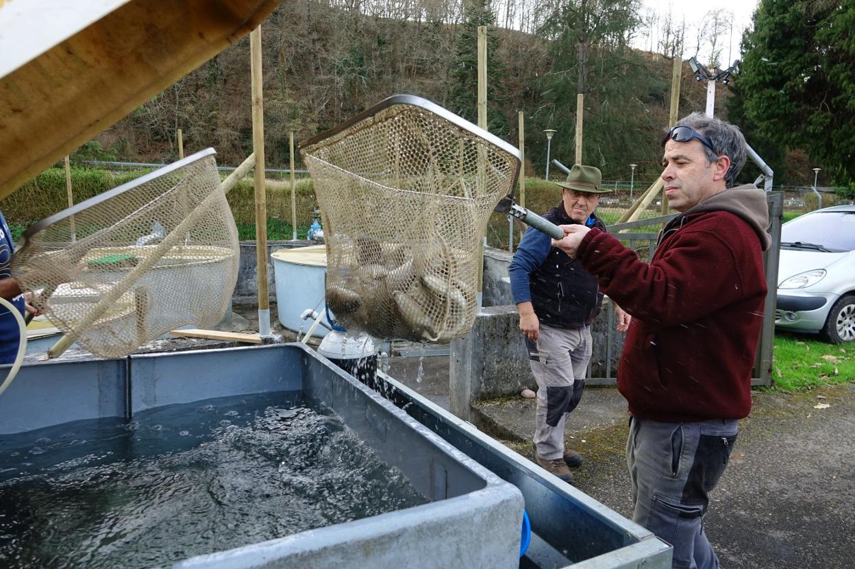 Los pescadores llevan meses trabajando para adecuar las viejas instalaciones piloñesas. 