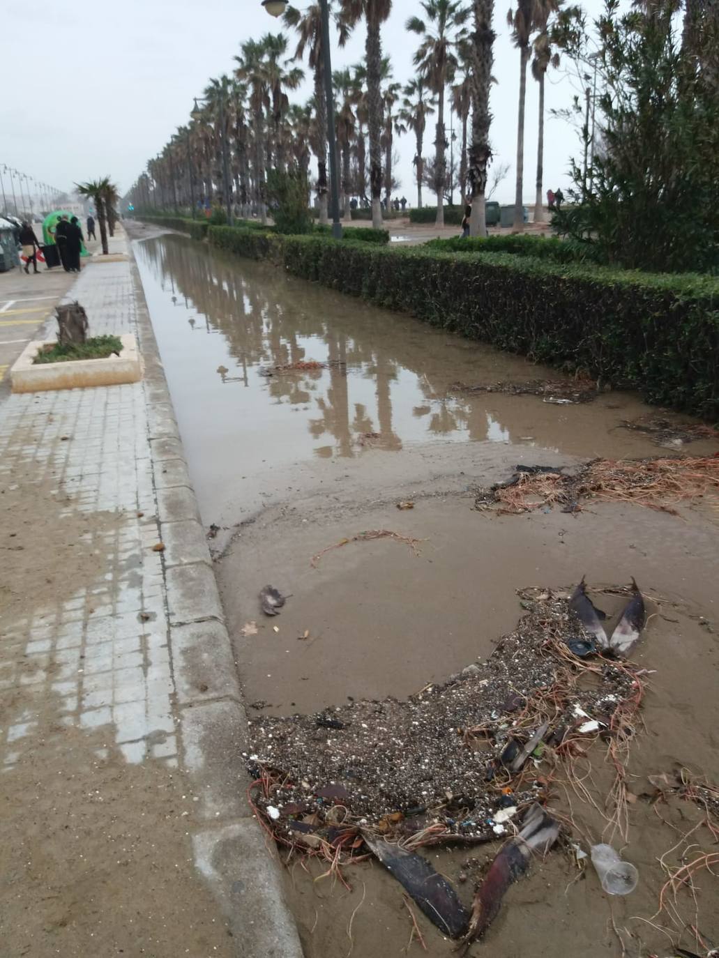 El temporal amaina tras dejar a su paso todo el litoral destrozado y lluvias de 800 litros, granizadas cerca del mar, desbordamiento de ríos, olas de hasta ocho metros, nevadas copiosas de casi 90 centímetros de espesor, rescates, pueblos aislados...