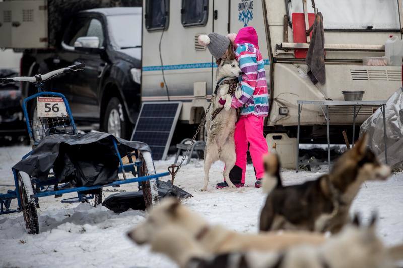 Alrededor de setecientos perros y más de cien 'mushers' han participado en la carrera 'Sedivackuv Long 2020', que se celebra entre el 21 y 25 de enero en Orlicke Mountain (República Checa). Se trata de la competición más larga del país en su categoría y una de las más duras de Europa. 