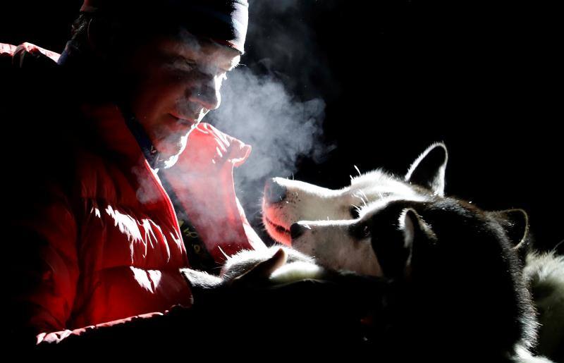 Alrededor de setecientos perros y más de cien 'mushers' han participado en la carrera 'Sedivackuv Long 2020', que se celebra entre el 21 y 25 de enero en Orlicke Mountain (República Checa). Se trata de la competición más larga del país en su categoría y una de las más duras de Europa. 