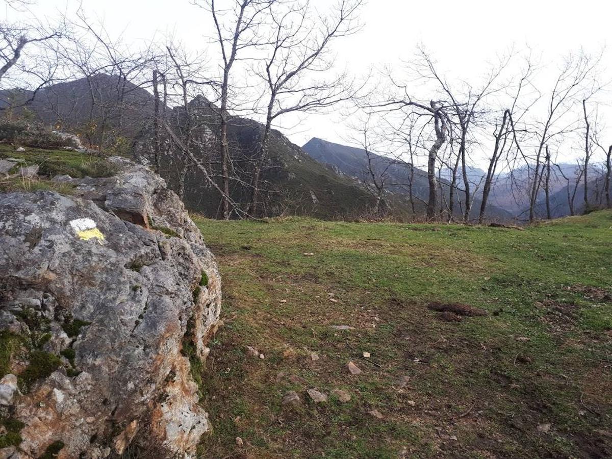 Fotos: Un recorrido histórico por Rioseco