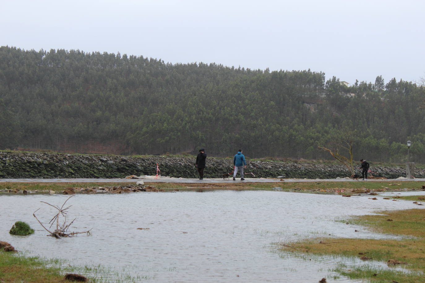 El fuerte oleaje que se vivió durante la pasada madrugada ha dejado daños en las instalaciones deportivas de El Pardo (Navia). El campo de fútbol no llegó a inundarse, pero sí las inmediaciones de este, la secretaría y la pista exterior aledaña. La cercana pista de atletismo y el paseo marítimo amanecieron cubiertos de piedras y maleza arrastrados por el mar, así como con balsas de agua. 
