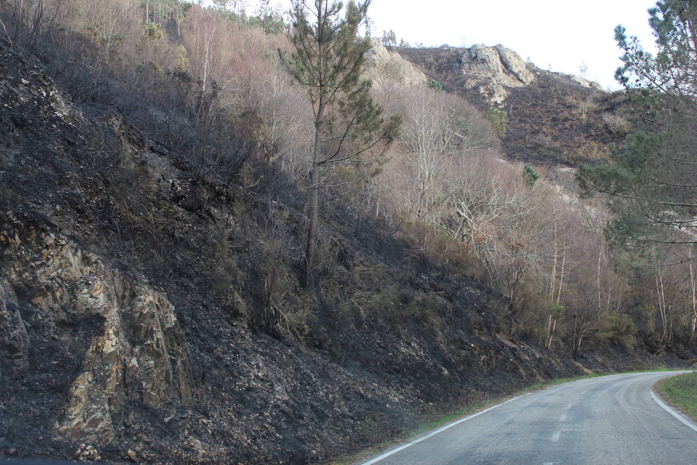 Villayón, Valdés, Belmonte de Miranda y Tineo son los concejos afectados