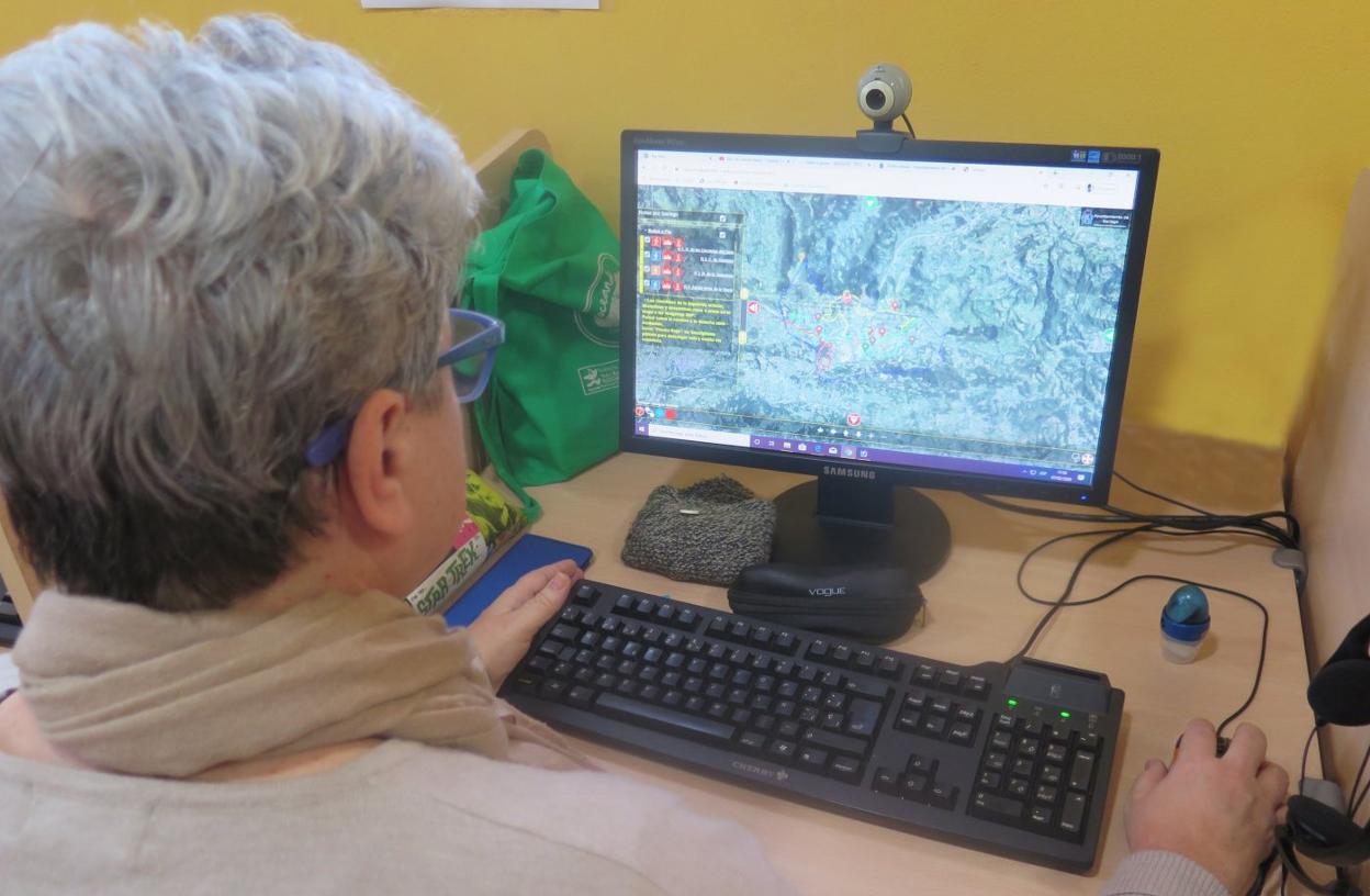 El asistente estará disponible en la web municipal del concejo . 