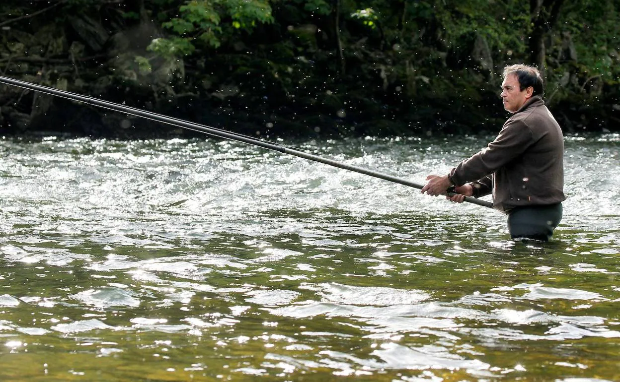 Un pescador en el río Cares trantado de capturar el campanu de 2019. 