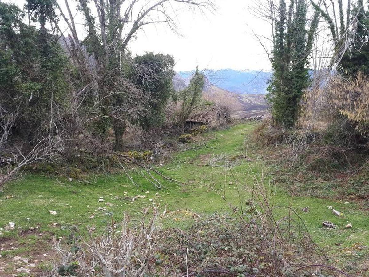 Fotos: Una caminata por Marabio, entre pastizales, cumbres y cabañas