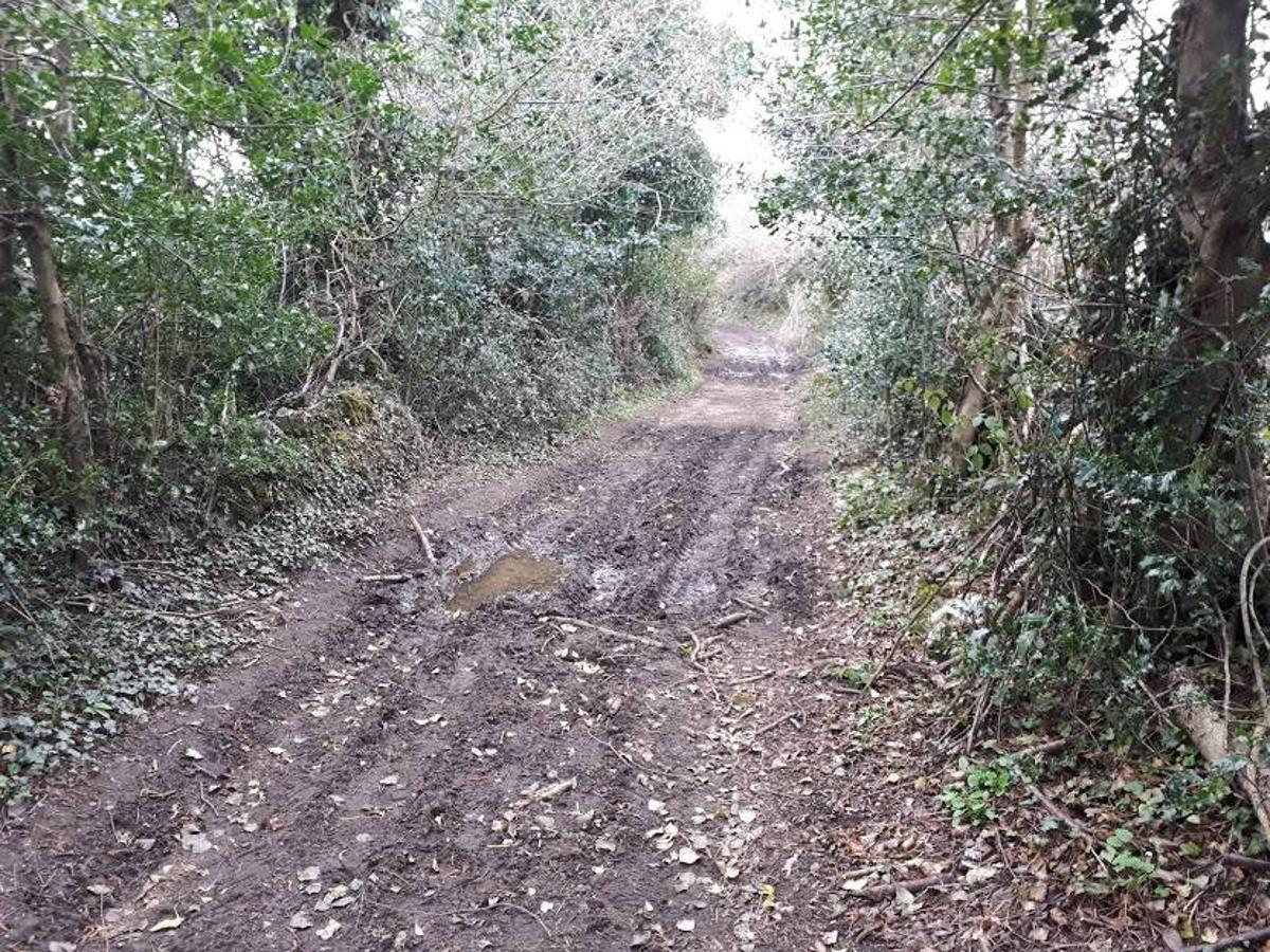 Fotos: Una caminata por Marabio, entre pastizales, cumbres y cabañas