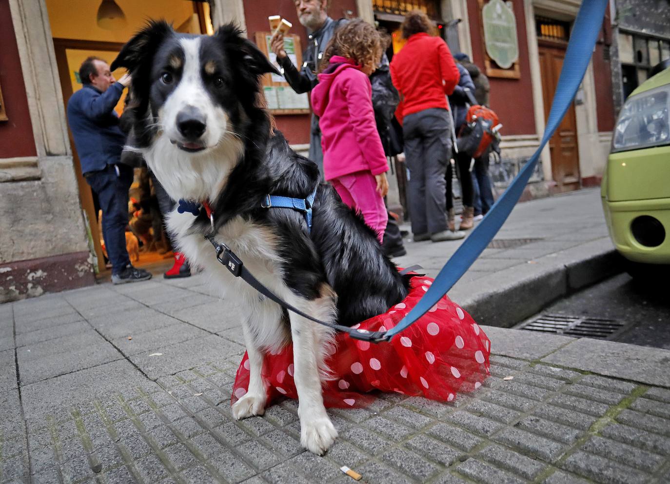 Animales y dueños disfrutaron este martes del tercer Perricarnaval en Green Zone Bio, donde desfilaron hasta treinta participantes