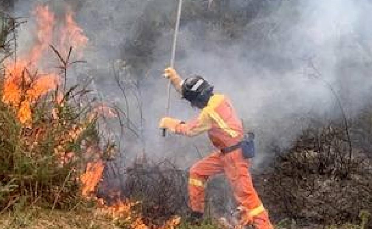 23 incendios forestales ponen en alerta a Asturias