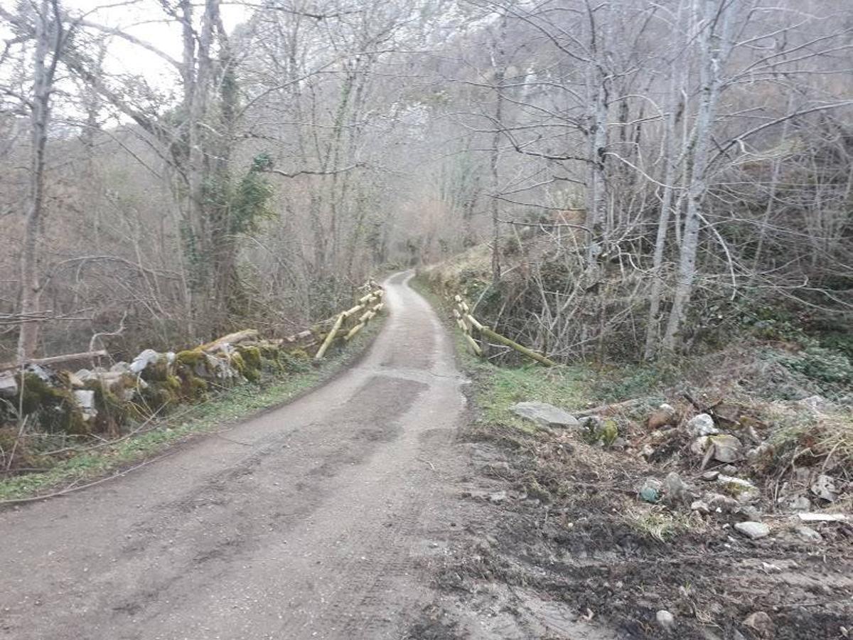 Te invitamos a recorrer con nosotros esta maravillosa ruta en pleno Parque Natural de Redes, que parte desde el pueblo de Caleao y que transcurre junto al río Los Arrudos y a su desfiladero. Esta ruta nos conducirá también por el frondoso hayedo de Los Arrobellaos, la majada de Roxecu, la majada de Llede, la de los Moyones, el Lago Ubales (una laguna de montaña en la que habitan tritones y varias plantas curiosas), el antiguo Camín de Castilla o las cabañas de Pasaoriu, entre otros. Una senda con encanto perfecta para disfrutar del senderismo y la naturaleza.