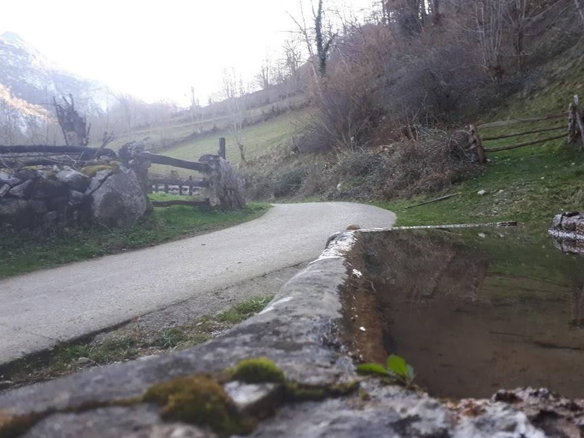 Te invitamos a recorrer con nosotros esta maravillosa ruta en pleno Parque Natural de Redes, que parte desde el pueblo de Caleao y que transcurre junto al río Los Arrudos y a su desfiladero. Esta ruta nos conducirá también por el frondoso hayedo de Los Arrobellaos, la majada de Roxecu, la majada de Llede, la de los Moyones, el Lago Ubales (una laguna de montaña en la que habitan tritones y varias plantas curiosas), el antiguo Camín de Castilla o las cabañas de Pasaoriu, entre otros. Una senda con encanto perfecta para disfrutar del senderismo y la naturaleza.