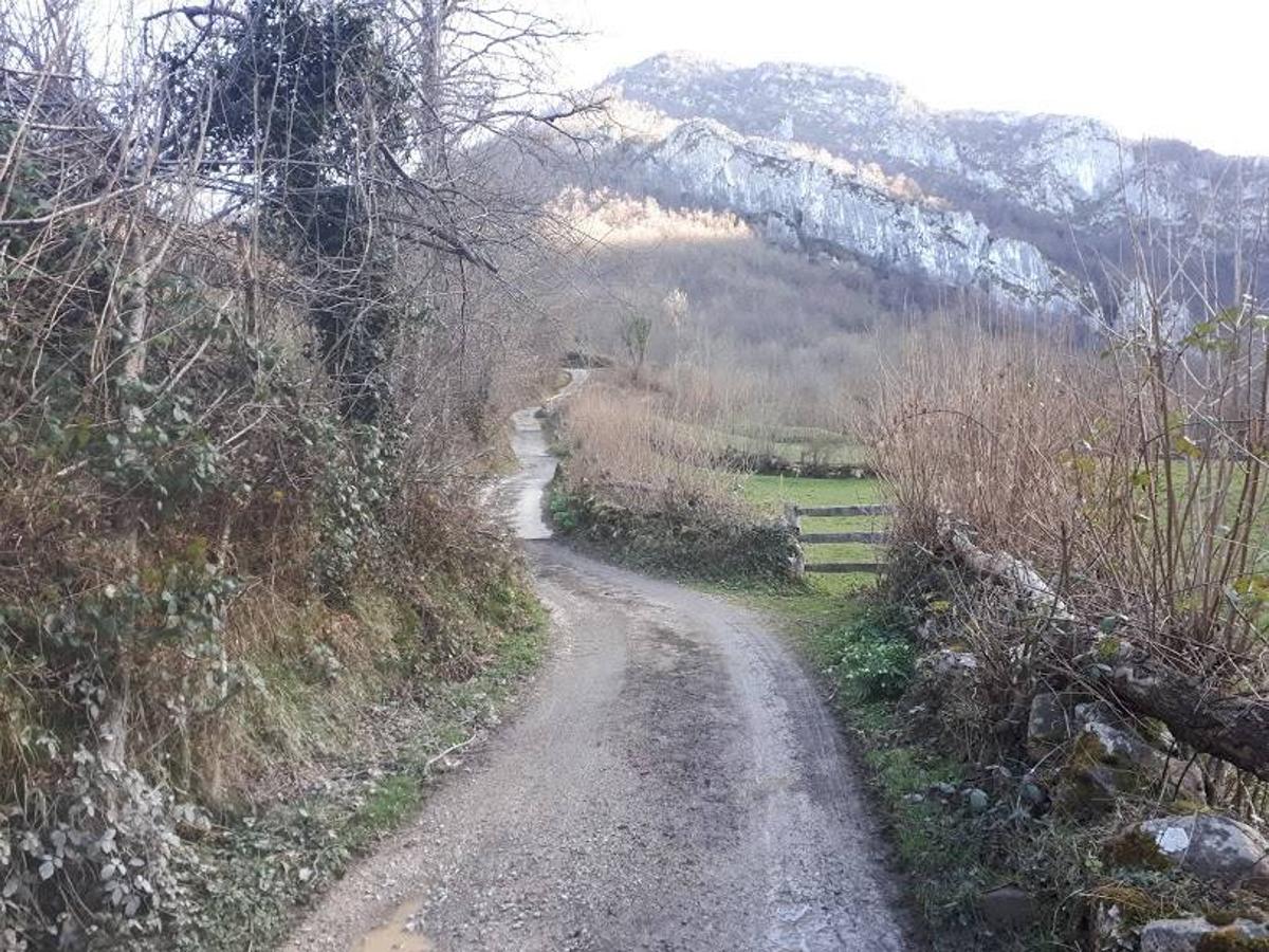 Te invitamos a recorrer con nosotros esta maravillosa ruta en pleno Parque Natural de Redes, que parte desde el pueblo de Caleao y que transcurre junto al río Los Arrudos y a su desfiladero. Esta ruta nos conducirá también por el frondoso hayedo de Los Arrobellaos, la majada de Roxecu, la majada de Llede, la de los Moyones, el Lago Ubales (una laguna de montaña en la que habitan tritones y varias plantas curiosas), el antiguo Camín de Castilla o las cabañas de Pasaoriu, entre otros. Una senda con encanto perfecta para disfrutar del senderismo y la naturaleza.