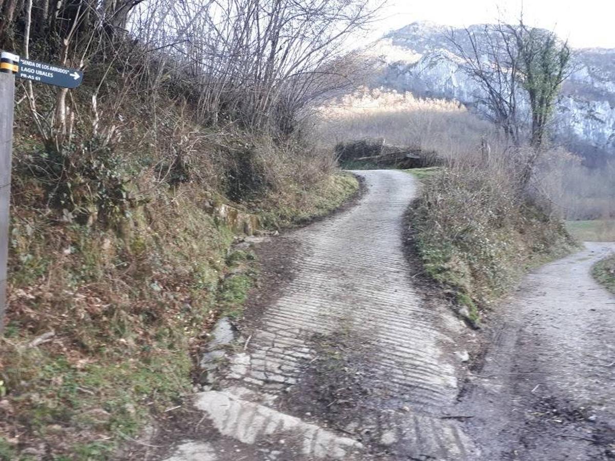 Te invitamos a recorrer con nosotros esta maravillosa ruta en pleno Parque Natural de Redes, que parte desde el pueblo de Caleao y que transcurre junto al río Los Arrudos y a su desfiladero. Esta ruta nos conducirá también por el frondoso hayedo de Los Arrobellaos, la majada de Roxecu, la majada de Llede, la de los Moyones, el Lago Ubales (una laguna de montaña en la que habitan tritones y varias plantas curiosas), el antiguo Camín de Castilla o las cabañas de Pasaoriu, entre otros. Una senda con encanto perfecta para disfrutar del senderismo y la naturaleza.