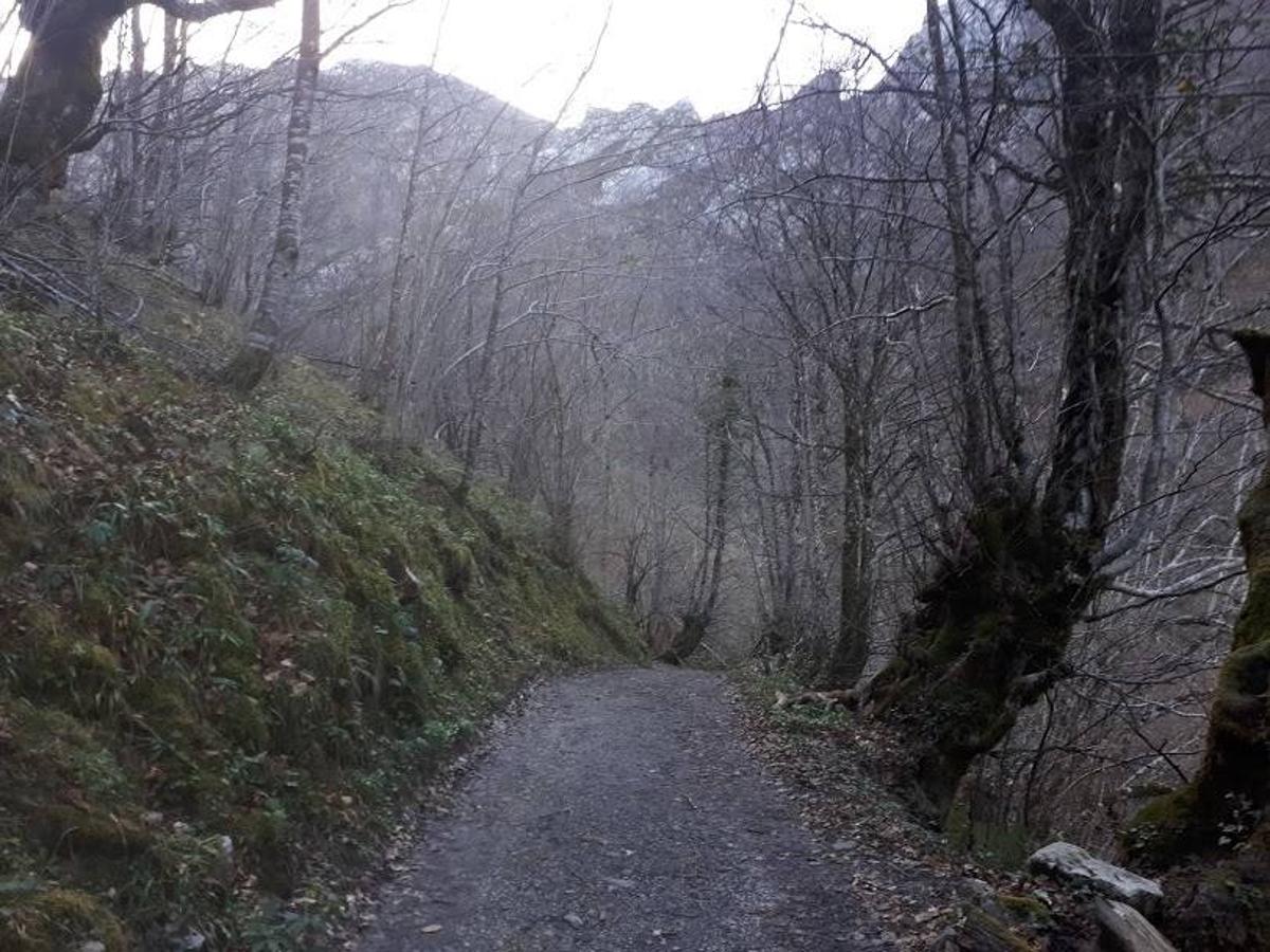 Te invitamos a recorrer con nosotros esta maravillosa ruta en pleno Parque Natural de Redes, que parte desde el pueblo de Caleao y que transcurre junto al río Los Arrudos y a su desfiladero. Esta ruta nos conducirá también por el frondoso hayedo de Los Arrobellaos, la majada de Roxecu, la majada de Llede, la de los Moyones, el Lago Ubales (una laguna de montaña en la que habitan tritones y varias plantas curiosas), el antiguo Camín de Castilla o las cabañas de Pasaoriu, entre otros. Una senda con encanto perfecta para disfrutar del senderismo y la naturaleza.