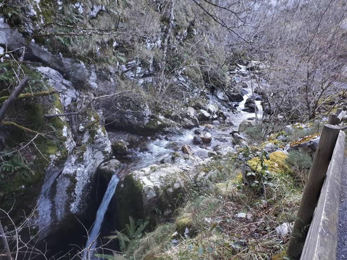 Te invitamos a recorrer con nosotros esta maravillosa ruta en pleno Parque Natural de Redes, que parte desde el pueblo de Caleao y que transcurre junto al río Los Arrudos y a su desfiladero. Esta ruta nos conducirá también por el frondoso hayedo de Los Arrobellaos, la majada de Roxecu, la majada de Llede, la de los Moyones, el Lago Ubales (una laguna de montaña en la que habitan tritones y varias plantas curiosas), el antiguo Camín de Castilla o las cabañas de Pasaoriu, entre otros. Una senda con encanto perfecta para disfrutar del senderismo y la naturaleza.