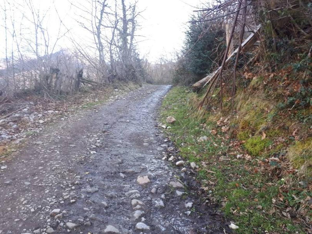 Te invitamos a recorrer con nosotros esta maravillosa ruta en pleno Parque Natural de Redes, que parte desde el pueblo de Caleao y que transcurre junto al río Los Arrudos y a su desfiladero. Esta ruta nos conducirá también por el frondoso hayedo de Los Arrobellaos, la majada de Roxecu, la majada de Llede, la de los Moyones, el Lago Ubales (una laguna de montaña en la que habitan tritones y varias plantas curiosas), el antiguo Camín de Castilla o las cabañas de Pasaoriu, entre otros. Una senda con encanto perfecta para disfrutar del senderismo y la naturaleza.