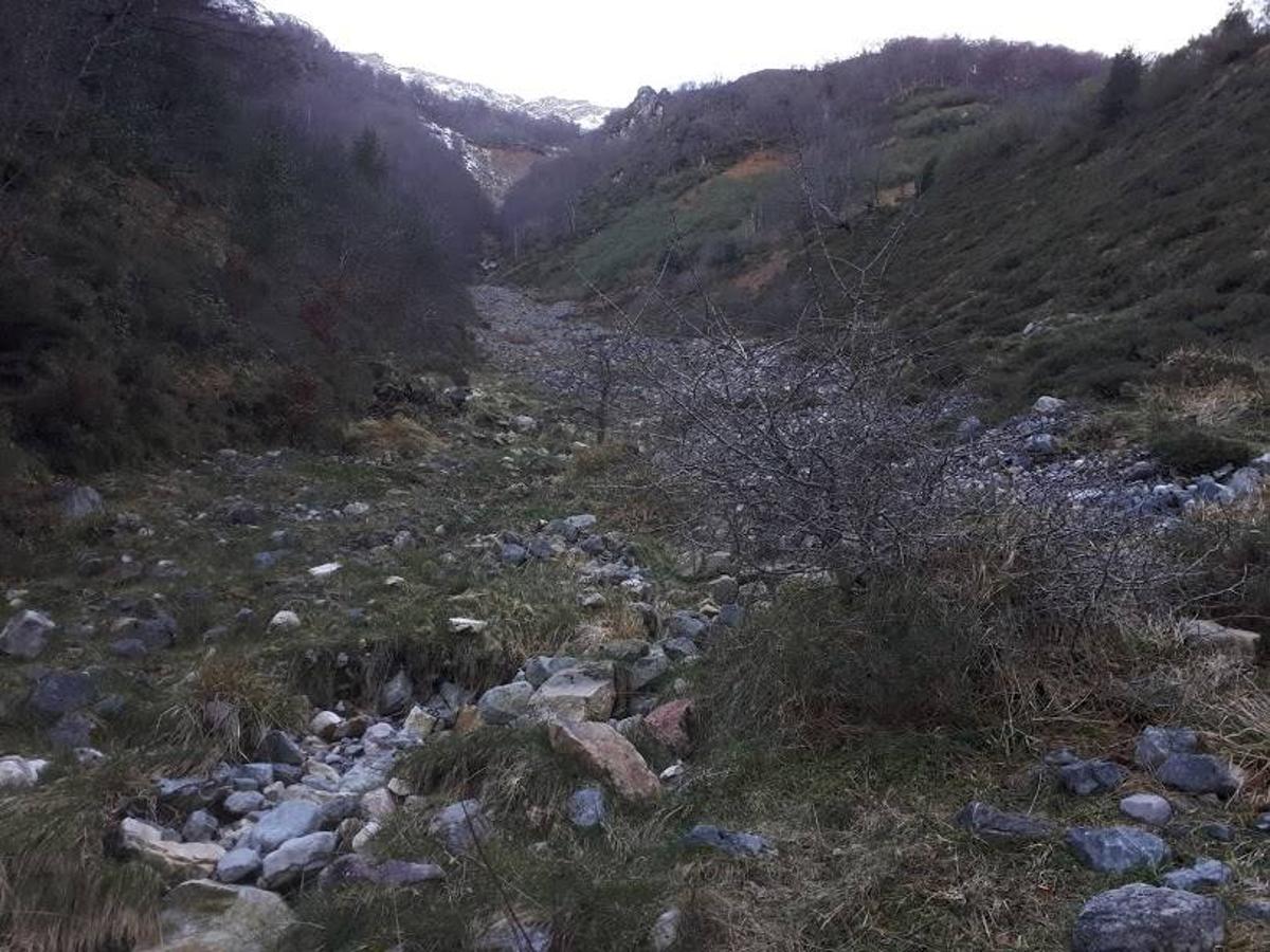 Te invitamos a recorrer con nosotros esta maravillosa ruta en pleno Parque Natural de Redes, que parte desde el pueblo de Caleao y que transcurre junto al río Los Arrudos y a su desfiladero. Esta ruta nos conducirá también por el frondoso hayedo de Los Arrobellaos, la majada de Roxecu, la majada de Llede, la de los Moyones, el Lago Ubales (una laguna de montaña en la que habitan tritones y varias plantas curiosas), el antiguo Camín de Castilla o las cabañas de Pasaoriu, entre otros. Una senda con encanto perfecta para disfrutar del senderismo y la naturaleza.