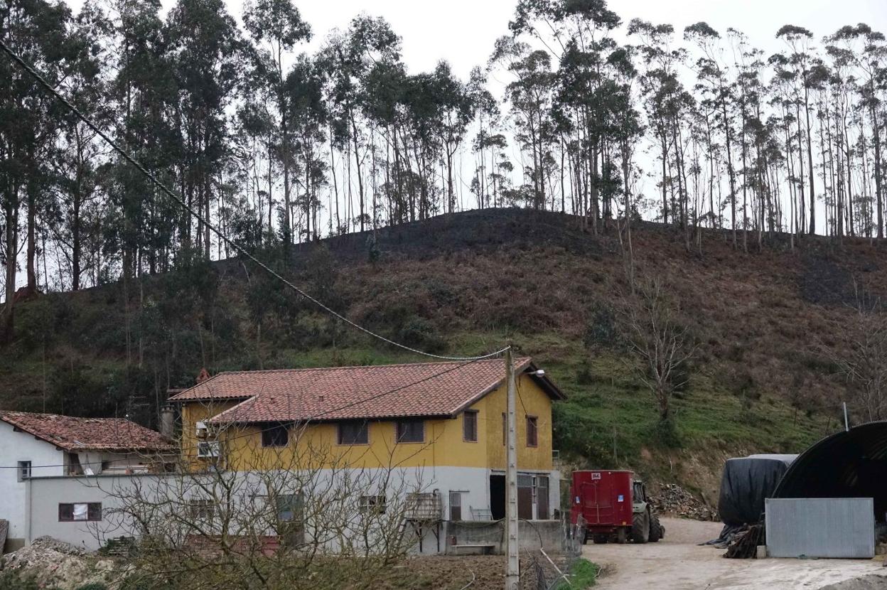 La quesería y, detrás, el monte quemado. 