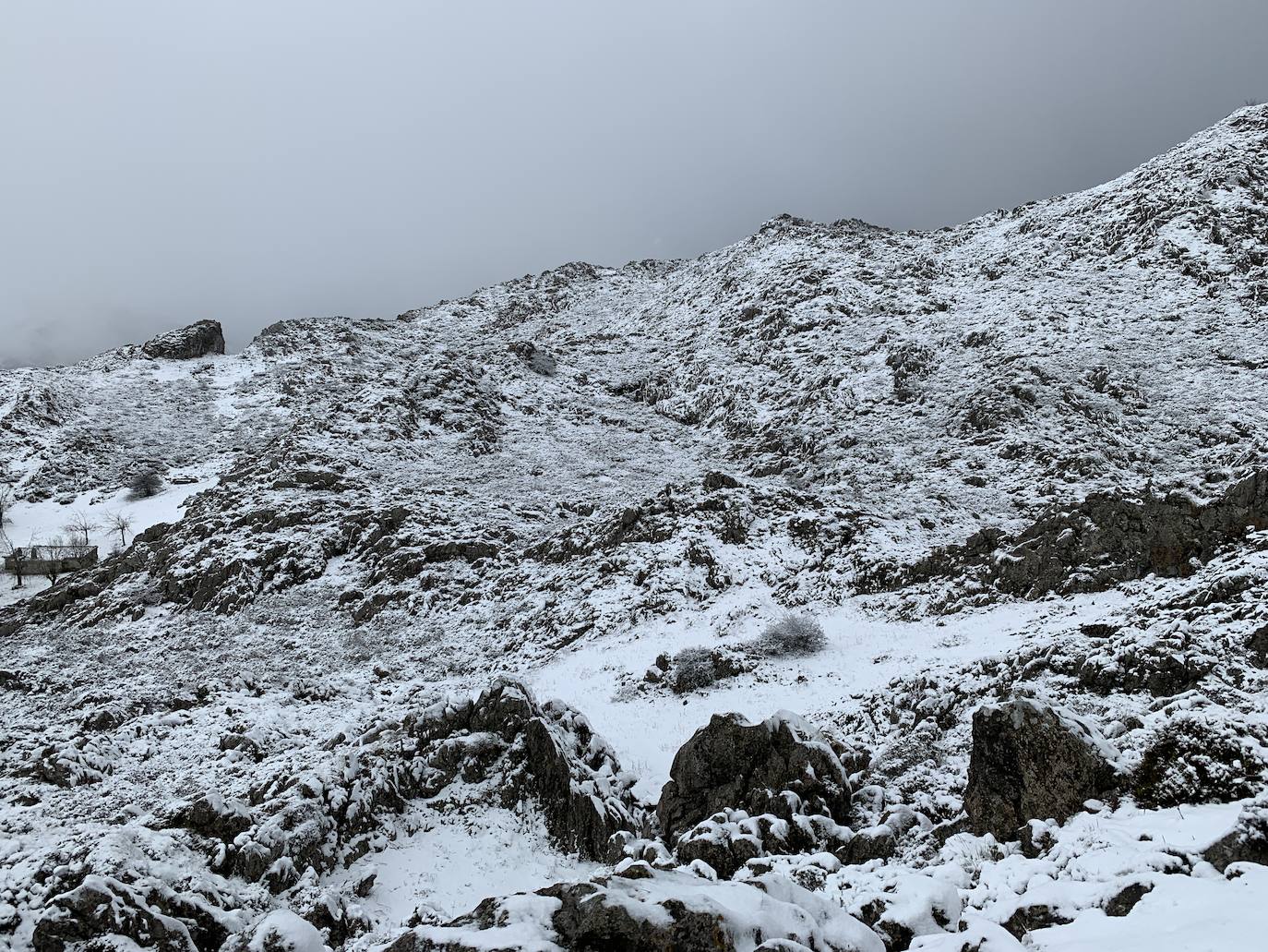 Asturias ha entrado en el mes de marzo bajo los efectos de la borrasca 'Katrine', que ha desplomado la cota de nieve al entorno de los 700 metros, lo que ha complicado la circulación en puertos de montaña como Pajares. Ese manto blanco también dibuja paisajes únicos, como los que se pueden ver en los Lagos de Covadonga. En cotas más bajas, la lluvia es la protagonista de la jornada.