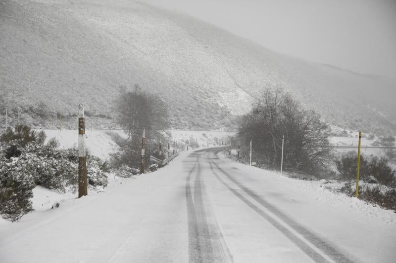 Asturias ha entrado en el mes de marzo bajo los efectos de la borrasca 'Katrine', que ha desplomado la cota de nieve al entorno de los 700 metros, lo que ha complicado la circulación en puertos de montaña como Pajares. Ese manto blanco también dibuja paisajes únicos, como los que se pueden ver en los Lagos de Covadonga. En cotas más bajas, la lluvia es la protagonista de la jornada.