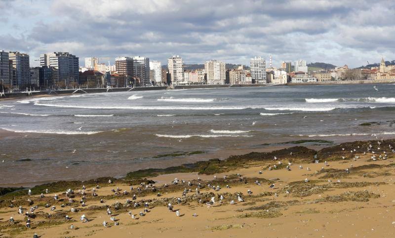 La costa oriental de Asturias está en alerta roja por fenómenos costeros en los últimos coletazos de 'Karine'
