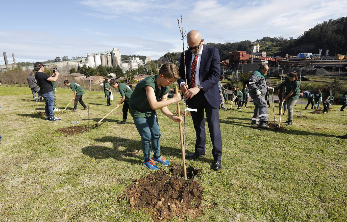 90 alumnos de los colegios San Félix y Poeta Antón han participado en la plantación de 95 frutales alrededor de la cementera gijonesa Tudela Veguín. 