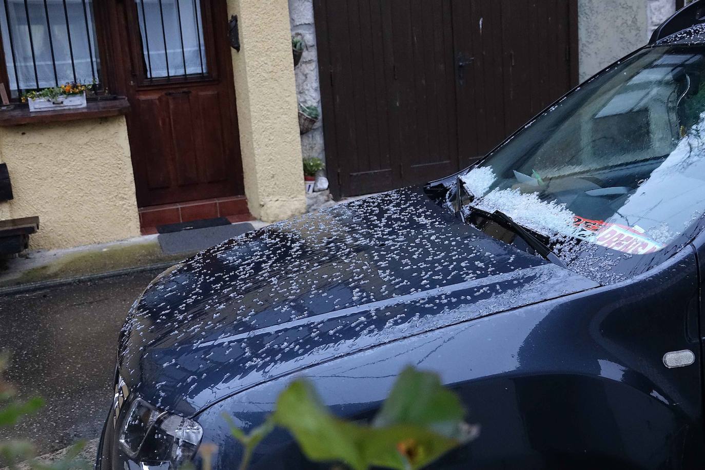 Cuando faltan días para la llegada de la primavera, Asturias vive jornadas de pleno invierno en las que la nieve, el granizo y fuertes vientos, que incluso han derribado árboles.
