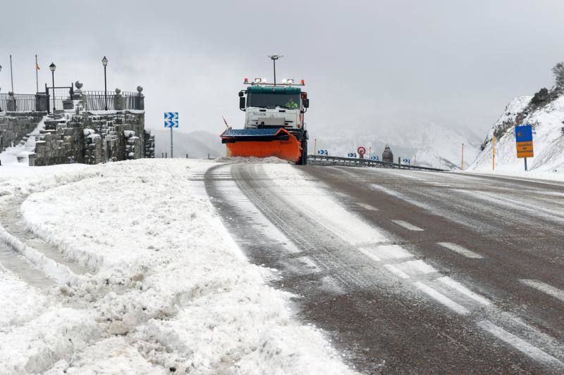 Cuando faltan días para la llegada de la primavera, Asturias vive jornadas de pleno invierno en las que la nieve, el granizo y fuertes vientos, que incluso han derribado árboles.