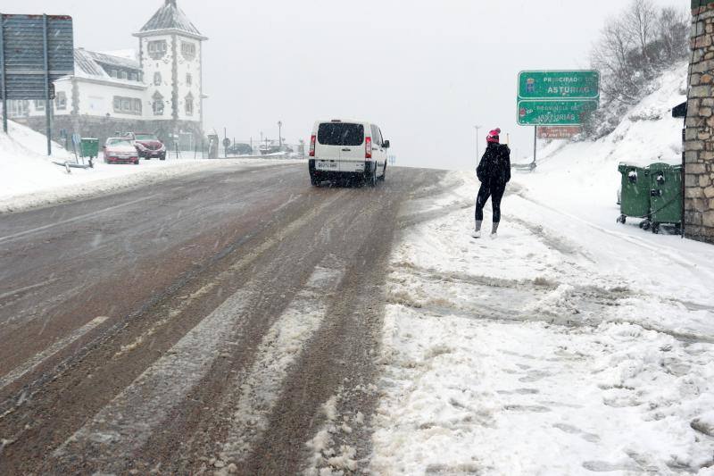 Cuando faltan días para la llegada de la primavera, Asturias vive jornadas de pleno invierno en las que la nieve, el granizo y fuertes vientos, que incluso han derribado árboles.