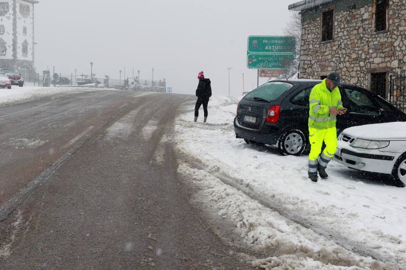 Cuando faltan días para la llegada de la primavera, Asturias vive jornadas de pleno invierno en las que la nieve, el granizo y fuertes vientos, que incluso han derribado árboles.