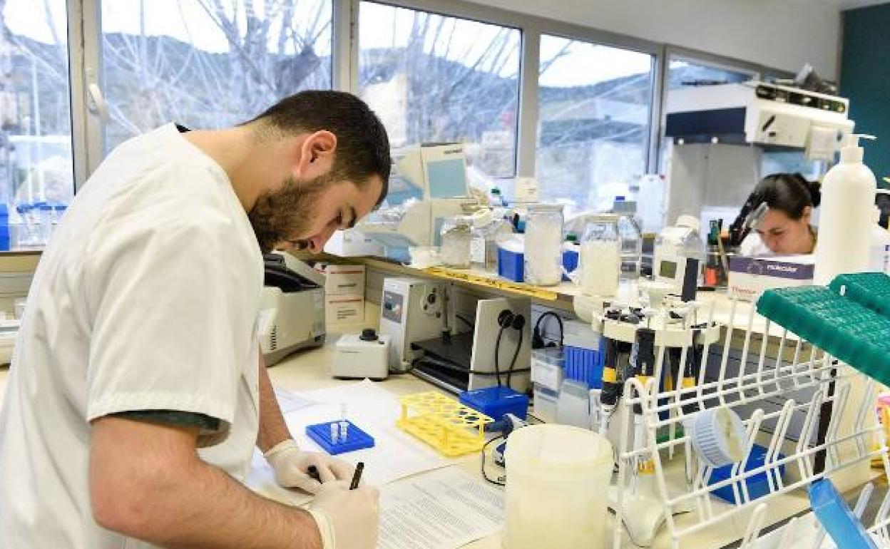 Confirman la cura del virus del sida en un paciente tras más de dos años sin medicación