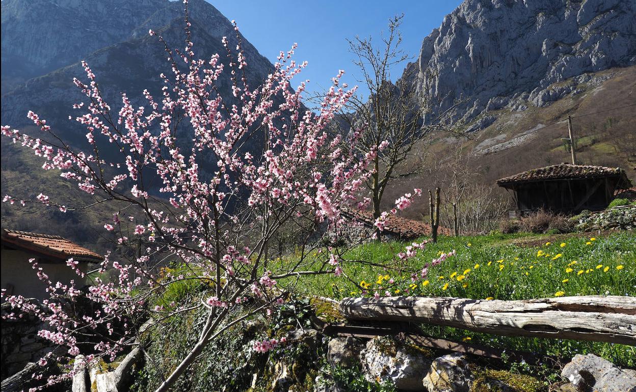 Asturias vivirá una primavera más cálida y con menos lluvias de lo habitual