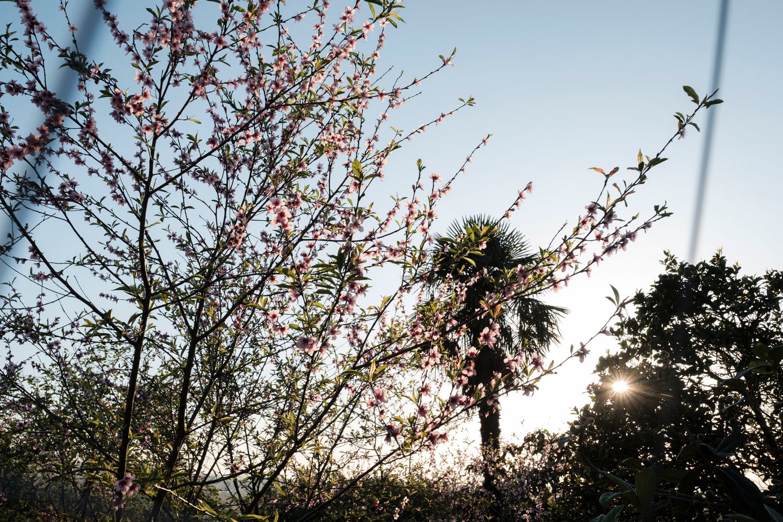 Te acercamos las imágenes de Asturias que este año apenas podemos disfrutar a causa de la terrible pandemia que azota nuestro país. 