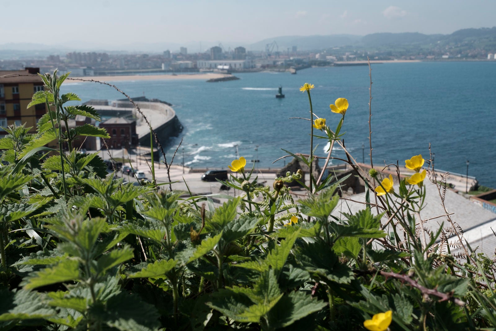Te acercamos las imágenes de Asturias que este año apenas podemos disfrutar a causa de la terrible pandemia que azota nuestro país. 