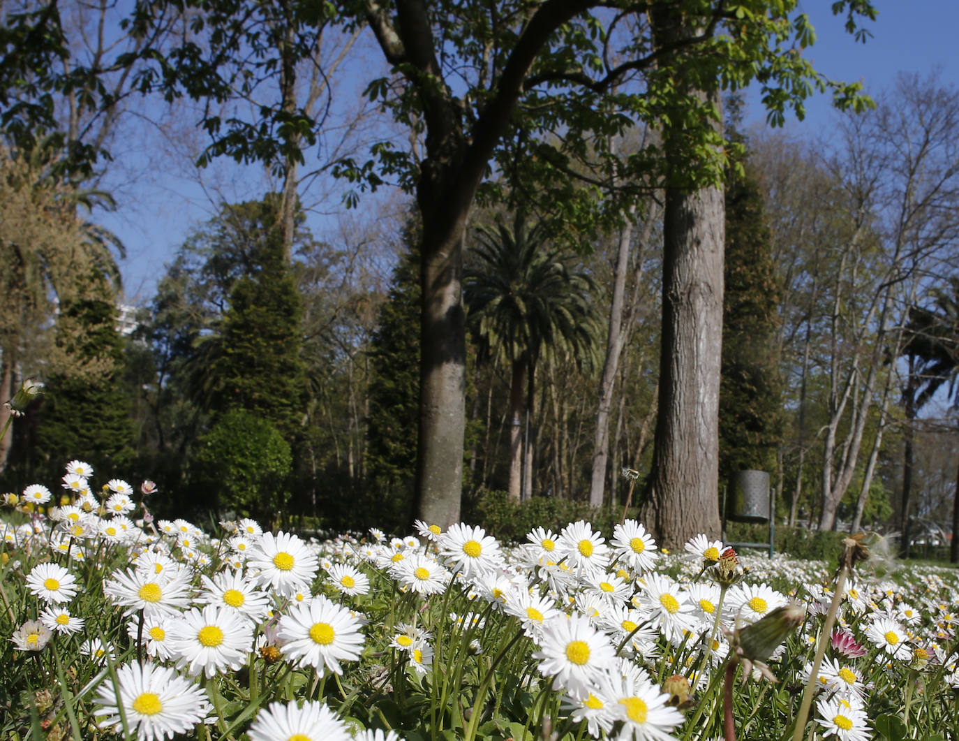 Te acercamos las imágenes de Asturias que este año apenas podemos disfrutar a causa de la terrible pandemia que azota nuestro país. 