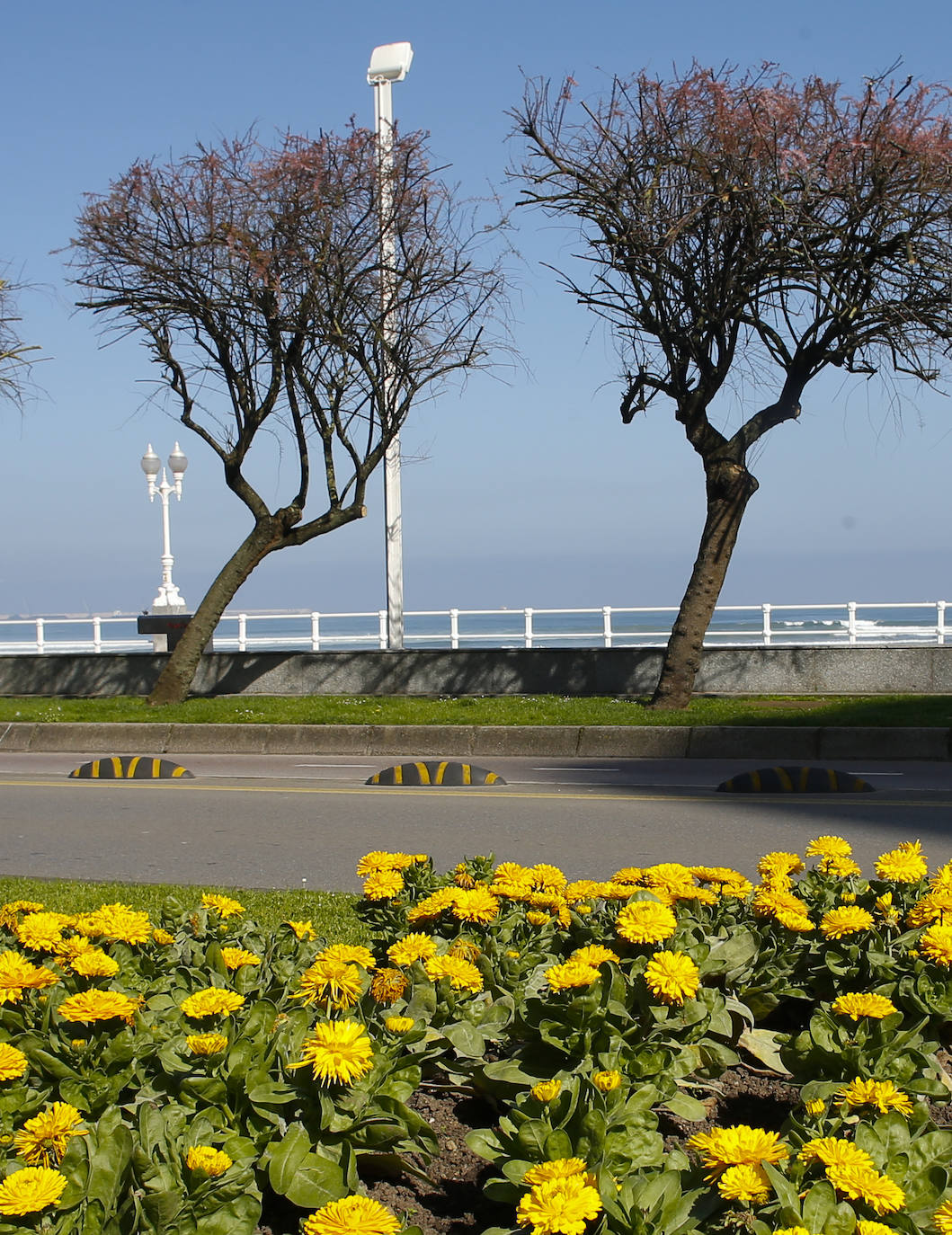 Te acercamos las imágenes de Asturias que este año apenas podemos disfrutar a causa de la terrible pandemia que azota nuestro país. 