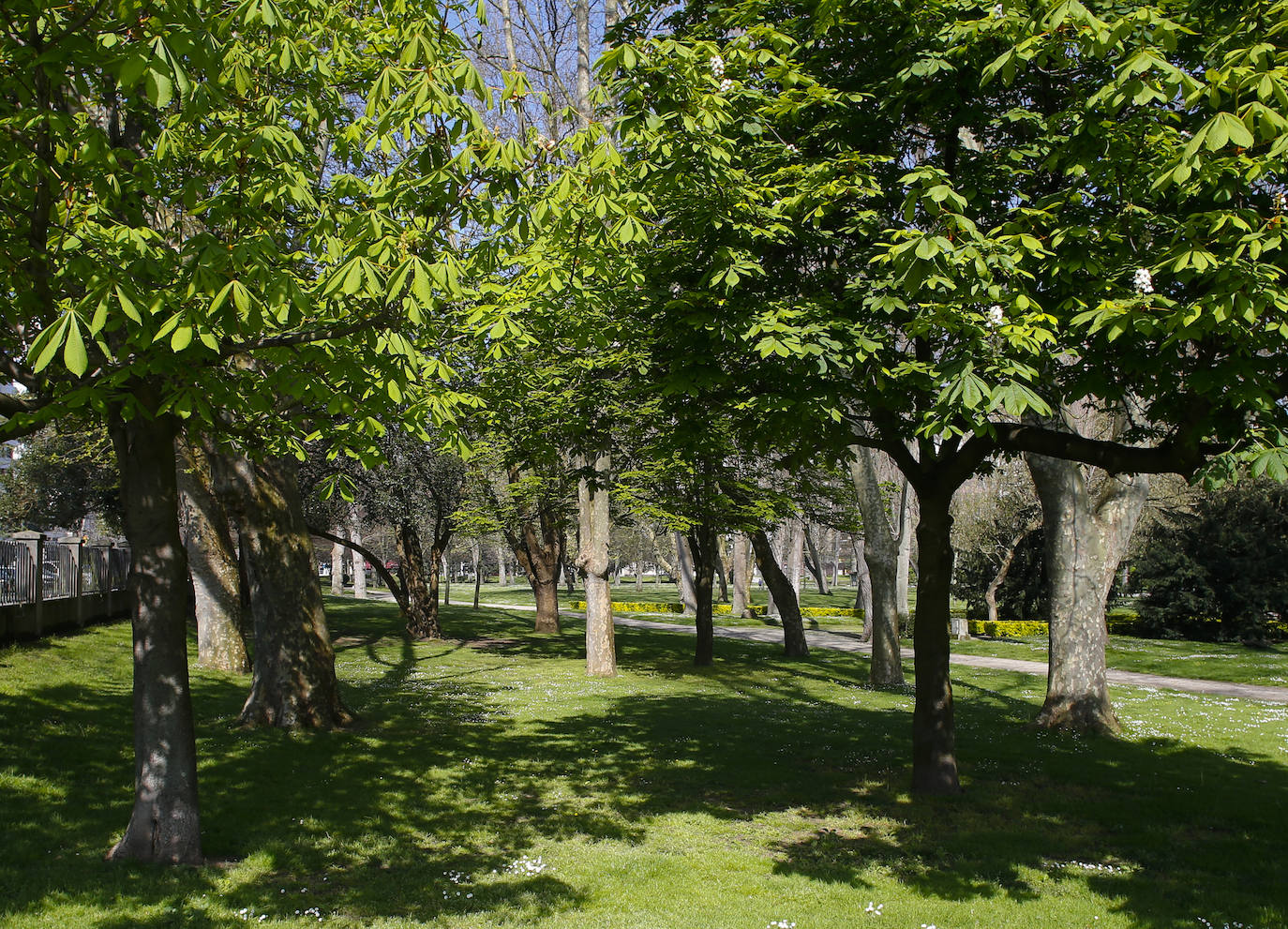 Te acercamos las imágenes de Asturias que este año apenas podemos disfrutar a causa de la terrible pandemia que azota nuestro país. 
