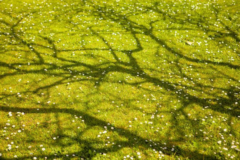 Te acercamos las imágenes de Asturias que este año apenas podemos disfrutar a causa de la terrible pandemia que azota nuestro país. 