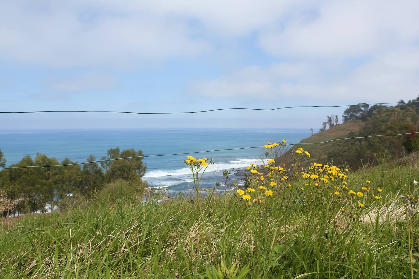 Te acercamos las imágenes de Asturias que este año apenas podemos disfrutar a causa de la terrible pandemia que azota nuestro país. 