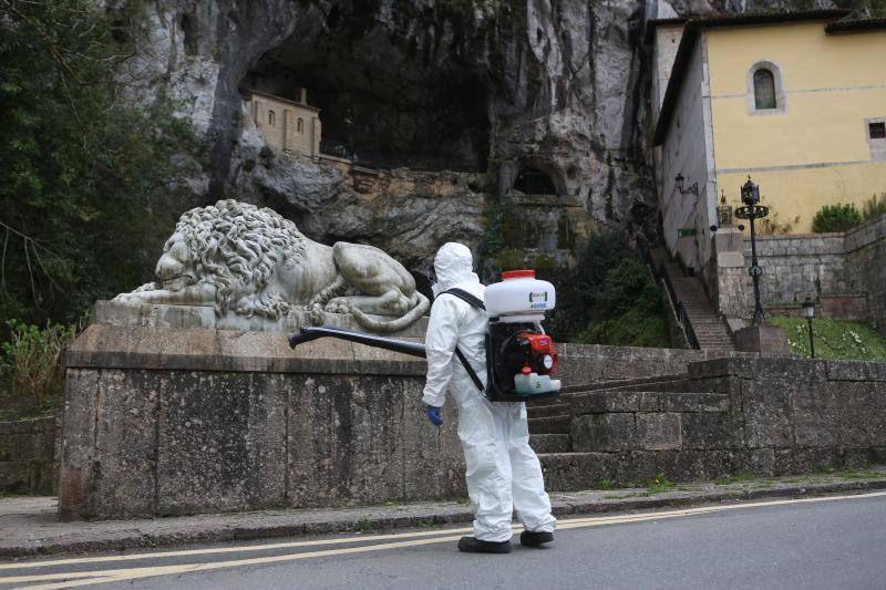 En la lucha contra el nuevo coronavirus no hay espacio que se libre de la lejía. Si en los últimos días se hizo habitual la imagen de personal enfundado en buzos de protección rociando con soluciones desinfectantes todo tipo de espacios, públicos y privados, ayer el escenario era el Santuario de Covadonga. Una estampa que pocos pudieron contemplar, pues el Real Sitio permanece prácticamente vacío, con la única excepción de los religiosos que allí residen y algunos trabajadores, desde la declaración del estado de alarma. Una estampa del todo inusual, más aún en esta época del año, que la presencia de un operario municipal pertrechado con un mono de protección, guantes, mascarilla y una mochila de fumigar hizo todavía más extraño.