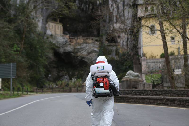 En la lucha contra el nuevo coronavirus no hay espacio que se libre de la lejía. Si en los últimos días se hizo habitual la imagen de personal enfundado en buzos de protección rociando con soluciones desinfectantes todo tipo de espacios, públicos y privados, ayer el escenario era el Santuario de Covadonga. Una estampa que pocos pudieron contemplar, pues el Real Sitio permanece prácticamente vacío, con la única excepción de los religiosos que allí residen y algunos trabajadores, desde la declaración del estado de alarma. Una estampa del todo inusual, más aún en esta época del año, que la presencia de un operario municipal pertrechado con un mono de protección, guantes, mascarilla y una mochila de fumigar hizo todavía más extraño.