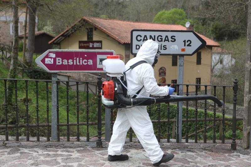 En la lucha contra el nuevo coronavirus no hay espacio que se libre de la lejía. Si en los últimos días se hizo habitual la imagen de personal enfundado en buzos de protección rociando con soluciones desinfectantes todo tipo de espacios, públicos y privados, ayer el escenario era el Santuario de Covadonga. Una estampa que pocos pudieron contemplar, pues el Real Sitio permanece prácticamente vacío, con la única excepción de los religiosos que allí residen y algunos trabajadores, desde la declaración del estado de alarma. Una estampa del todo inusual, más aún en esta época del año, que la presencia de un operario municipal pertrechado con un mono de protección, guantes, mascarilla y una mochila de fumigar hizo todavía más extraño.