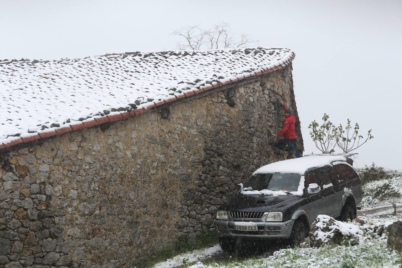 Marzo se despide dejando una imagen poco habitual durante la primavera. Parte del Principado de Asturias ha amanecido bajo un manto de nieve y la previsión meteorológica es que continúe nevando durante la jornada del martes. 