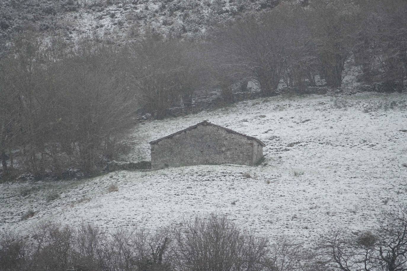 Marzo se despide dejando una imagen poco habitual durante la primavera. Parte del Principado de Asturias ha amanecido bajo un manto de nieve y la previsión meteorológica es que continúe nevando durante la jornada del martes. 