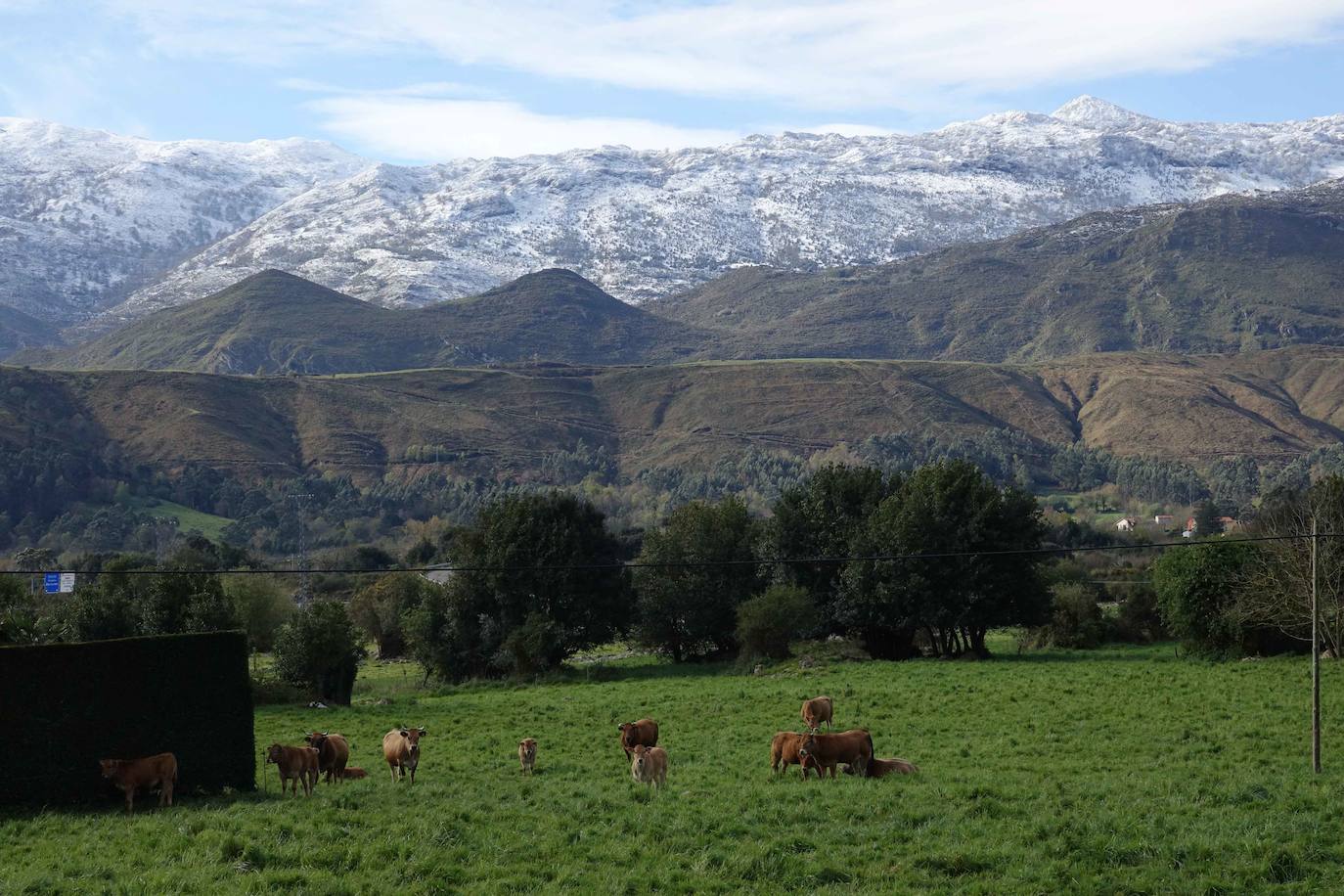 La recién estrenada primavera deja en la región una de esas nevadas que invitan a disfrutar del paisaje. Pese a que la mayoría de los asturianos la han vivido desde el confinamiento por el coronavirus, EL COMERCIO les invita a hacer un recorrido por las mejores estampas blancas de la región. 