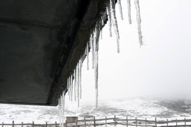 La recién estrenada primavera deja en la región una de esas nevadas que invitan a disfrutar del paisaje. Pese a que la mayoría de los asturianos la han vivido desde el confinamiento por el coronavirus, EL COMERCIO les invita a hacer un recorrido por las mejores estampas blancas de la región. 