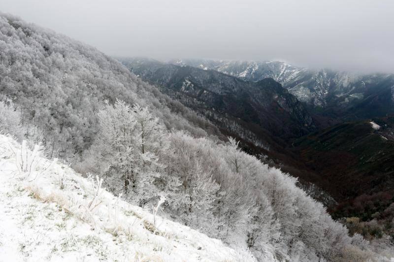 La recién estrenada primavera deja en la región una de esas nevadas que invitan a disfrutar del paisaje. Pese a que la mayoría de los asturianos la han vivido desde el confinamiento por el coronavirus, EL COMERCIO les invita a hacer un recorrido por las mejores estampas blancas de la región. 