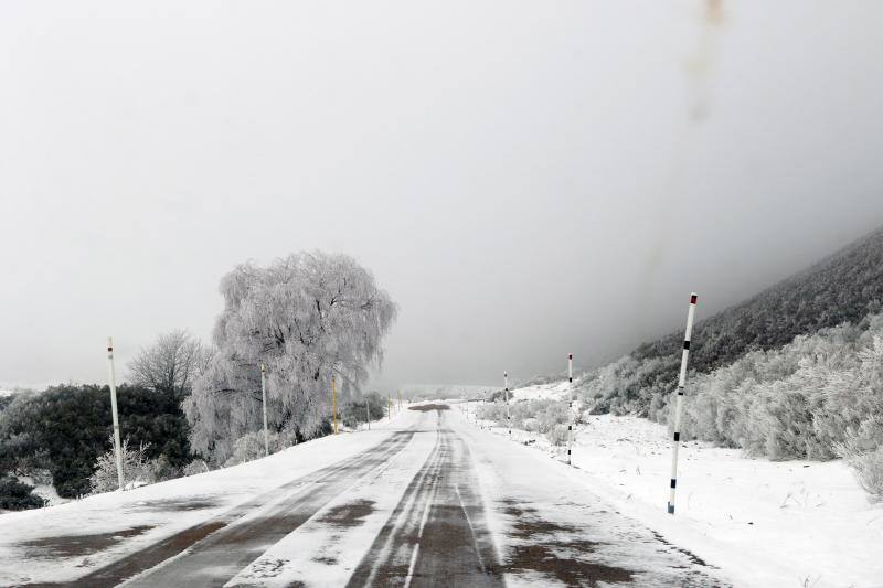 La recién estrenada primavera deja en la región una de esas nevadas que invitan a disfrutar del paisaje. Pese a que la mayoría de los asturianos la han vivido desde el confinamiento por el coronavirus, EL COMERCIO les invita a hacer un recorrido por las mejores estampas blancas de la región. 