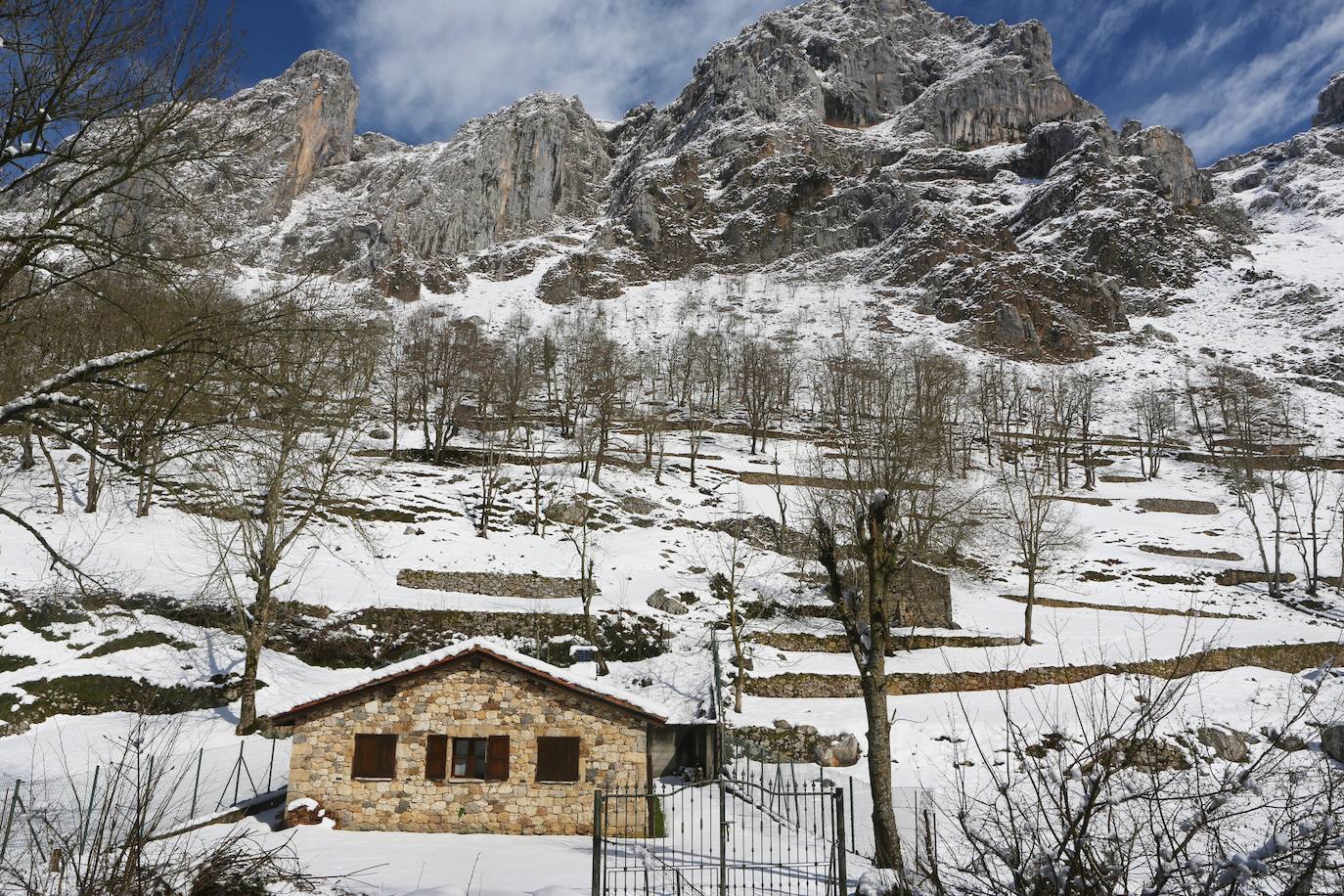 La recién estrenada primavera deja en la región una de esas nevadas que invitan a disfrutar del paisaje. Pese a que la mayoría de los asturianos la han vivido desde el confinamiento por el coronavirus, EL COMERCIO les invita a hacer un recorrido por las mejores estampas blancas de la región. 